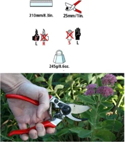 Felco 2 + GRATIS Felco Handschoenen In Cadeauverpakking 10 Felco 2 + GRATIS Felco Handschoenen In Cadeauverpakking -Tuingereedschaps Winkel 1056x1200 1