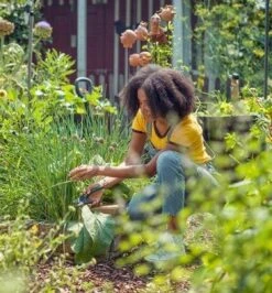 GARDENA - ExpertCut - Snoeischaar - 22 Diameter Tak -Tuingereedschaps Winkel 1116x1200 1