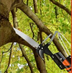 Gardebruk Takkenzaag Telescopisch - 2in1 Zaag & Snoeischaar - Oranje 27 Gardebruk Takkenzaag Telescopisch - 2in1 Zaag & Snoeischaar - Oranje -Tuingereedschaps Winkel 1189x1200 6