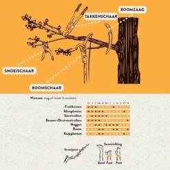 Hendrik Jan - Takkenschaar - Aluminium - Aambeeld - 62 Cm 8 Hendrik Jan - Takkenschaar - Aluminium - Aambeeld - 62 Cm -Tuingereedschaps Winkel 1198x1200 4
