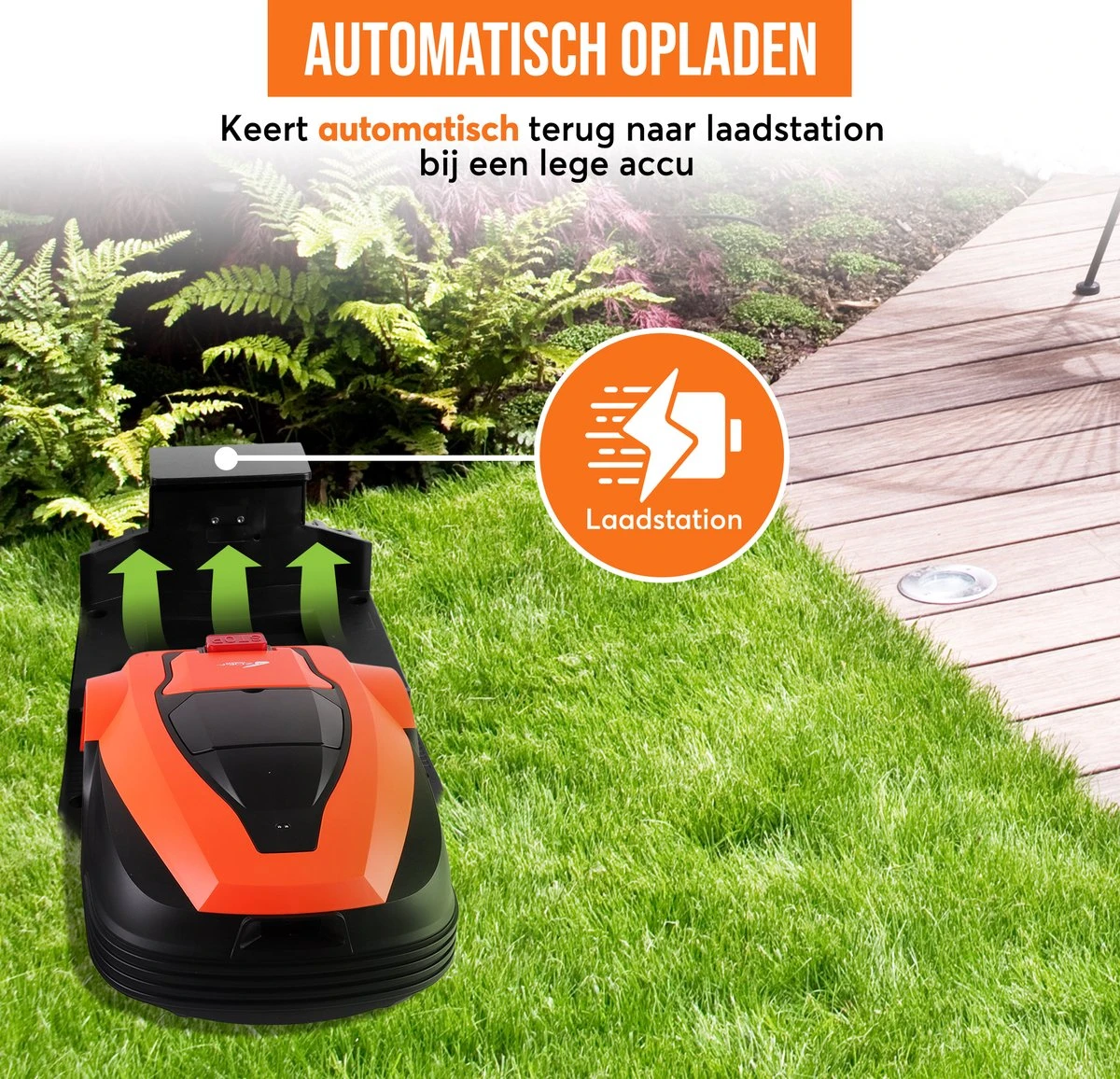 Zoef Robot Robotmaaier Betsie Met APP <1400 M2 13 Zoef Robot Robotmaaier Betsie Met APP <1400 M2 - Afbeelding 13
