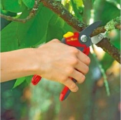 WOLF-Garten Snoeischaar "Premium Plus" RS 4000 - Aambeeld - Max. Knipdiameter 25 Mm - Links- En Rechtshandige - Softinleg Handgreep - Snijhoek 30° - Voor Grote Handen - Vervangbare Messen En Aambeeld 13 WOLF-Garten Snoeischaar "Premium Plus" RS 4000 - Aambeeld - Max. Knipdiameter 25 Mm - Links- En Rechtshandige - Softinleg Handgreep - Snijhoek 30° - Voor Grote Handen - Vervangbare Messen En Aambeeld -Tuingereedschaps Winkel 1200x1195 5