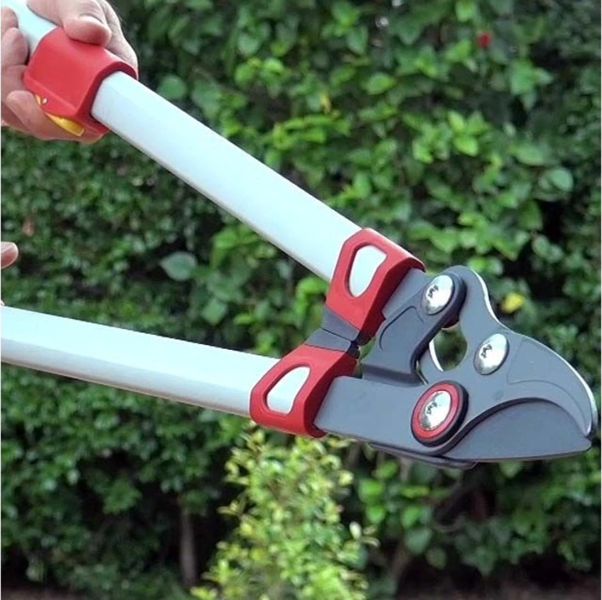 WOLF-Garten Takkenschaar POWER CUT RR*** 900 T - Lengte 650-900mm - Telescoop - Aluminium Hefboomarmen - 4x Meer Kracht - Messpanning Instelbaar 3 WOLF-Garten Takkenschaar POWER CUT RR*** 900 T - Lengte 650-900mm - Telescoop - Aluminium Hefboomarmen - 4x Meer Kracht - Messpanning Instelbaar - Afbeelding 3