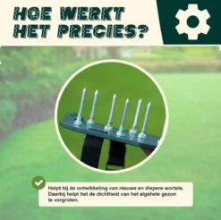 Merkloos Gazonbeluchtingssandalen Premium - Gazonbeluchter - Beluchter - Gazonverluchter - Gazonpriksandalen - Verticuteerroller - Graszaad - Gazonmest - Kerstcadeau - Voor Mannen - Voor Vrouwen - Cadeautjes- Vaderdag Cadeau- Geschenk- Cadeautjes 9 Merkloos Gazonbeluchtingssandalen Premium - Gazonbeluchter - Beluchter - Gazonverluchter - Gazonpriksandalen - Verticuteerroller - Graszaad - Gazonmest - Kerstcadeau - Voor Mannen - Voor Vrouwen - Cadeautjes- Vaderdag Cadeau- Geschenk- Cadeautjes -Tuingereedschaps Winkel 1200x1197 11