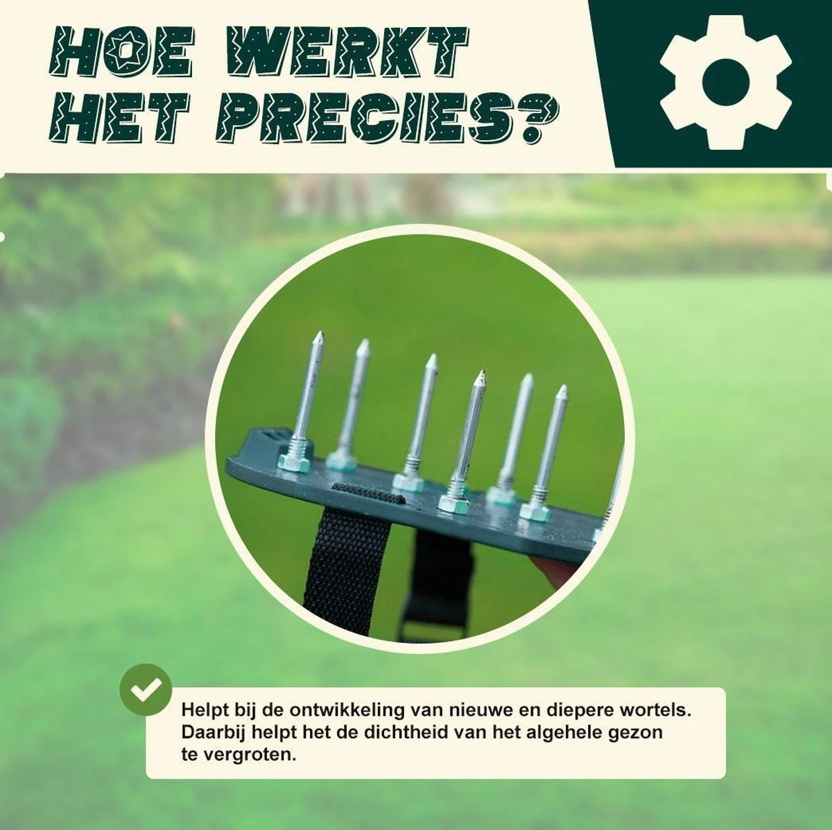 Merkloos Gazonbeluchtingssandalen Premium - Gazonbeluchter - Beluchter - Gazonverluchter - Gazonpriksandalen - Verticuteerroller - Graszaad - Gazonmest - Kerstcadeau - Voor Mannen - Voor Vrouwen - Cadeautjes- Vaderdag Cadeau- Geschenk- Cadeautjes 4 Merkloos Gazonbeluchtingssandalen Premium - Gazonbeluchter - Beluchter - Gazonverluchter - Gazonpriksandalen - Verticuteerroller - Graszaad - Gazonmest - Kerstcadeau - Voor Mannen - Voor Vrouwen - Cadeautjes- Vaderdag Cadeau- Geschenk- Cadeautjes - Afbeelding 4