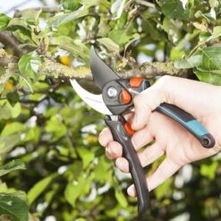 GARDENA - Comfort B/S-XL Bypass - Snoeischaar - Ø 24 Mm - 25 Jaar Garantie 18 GARDENA - Comfort B/S-XL Bypass - Snoeischaar - Ø 24 Mm - 25 Jaar Garantie -Tuingereedschaps Winkel 1200x1200 187