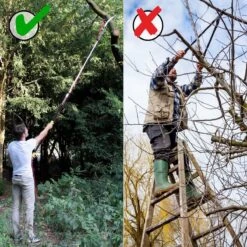Iceberk Snoeischaar + Snoeizaag (1,45 - 3,70 M) - Telescopische Snoeischaar Voor Het Snoeien Van Bomen En Dichte Struiken Zonder Ladder 11 Iceberk Snoeischaar + Snoeizaag (1,45 - 3,70 M) - Telescopische Snoeischaar Voor Het Snoeien Van Bomen En Dichte Struiken Zonder Ladder -Tuingereedschaps Winkel 1200x1200 191