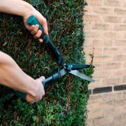 VONROC Snoeischaren Set / Snoeiset - 3-delig - Takkenschaar, Heggenschaar En Snoeischaar 13 VONROC Snoeischaren Set / Snoeiset - 3-delig - Takkenschaar, Heggenschaar En Snoeischaar -Tuingereedschaps Winkel 1200x1200 208