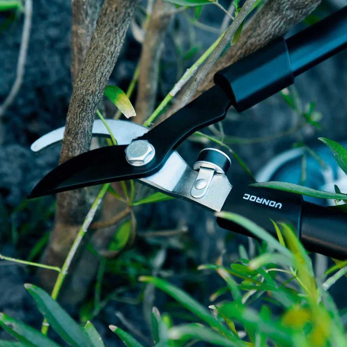 VONROC Snoeischaren Set / Snoeiset - 3-delig - Takkenschaar, Heggenschaar En Snoeischaar 9 VONROC Snoeischaren Set / Snoeiset - 3-delig - Takkenschaar, Heggenschaar En Snoeischaar - Afbeelding 9