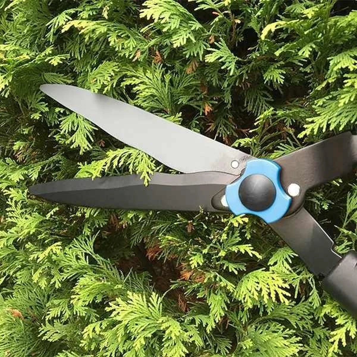 Hyundai Snoeiset 3-delig - Snoeischaar - Takkenschaar - Heggenschaar 10 Hyundai Snoeiset 3-delig - Snoeischaar - Takkenschaar - Heggenschaar - Afbeelding 10