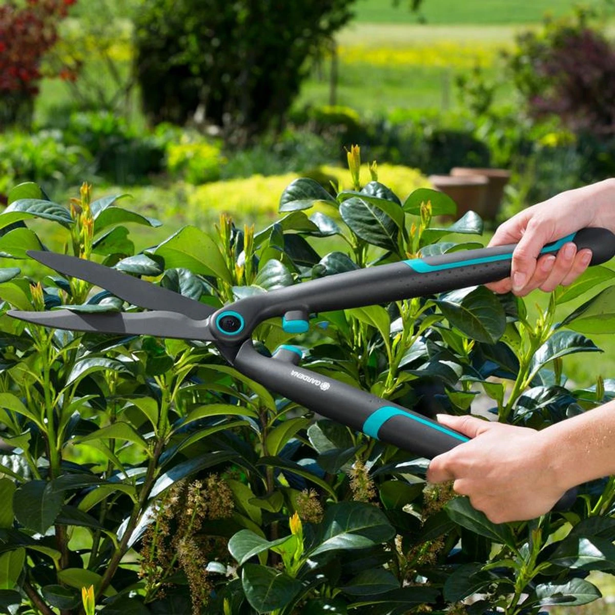 GARDENA - EasyCut - Heggenschaar - Extra Licht Van Gewicht 10 GARDENA - EasyCut - Heggenschaar - Extra Licht Van Gewicht - Afbeelding 10