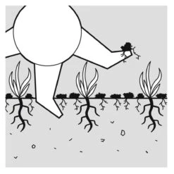 GARDENA EVC 1000 Verticuteermachine - Werkbreedte 30 Cm - Werkgebied 600m2 24 GARDENA EVC 1000 Verticuteermachine - Werkbreedte 30 Cm - Werkgebied 600m2 -Tuingereedschaps Winkel 1200x1200 344