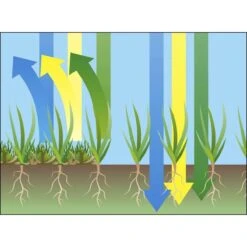 GARDENA EVC 1000 Verticuteermachine - Werkbreedte 30 Cm - Werkgebied 600m2 25 GARDENA EVC 1000 Verticuteermachine - Werkbreedte 30 Cm - Werkgebied 600m2 -Tuingereedschaps Winkel 1200x1200 345