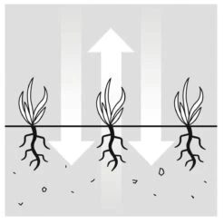 GARDENA EVC 1000 Verticuteermachine - Werkbreedte 30 Cm - Werkgebied 600m2 26 GARDENA EVC 1000 Verticuteermachine - Werkbreedte 30 Cm - Werkgebied 600m2 -Tuingereedschaps Winkel 1200x1200 346