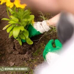 Merkloos Grondboor Voor Planten - 25 CM - Palenboor - Moestuin - Bollenplanter - Zwart 11 Merkloos Grondboor Voor Planten - 25 CM - Palenboor - Moestuin - Bollenplanter - Zwart -Tuingereedschaps Winkel 1200x1200 510