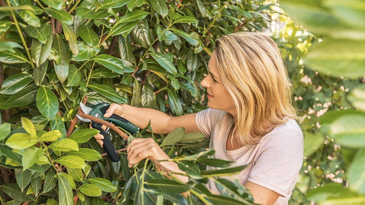 Bosch EasyPrune Accu Snoeischaar - 3.6 V Accu - USB 7 Bosch EasyPrune Accu Snoeischaar - 3.6 V Accu - USB - Afbeelding 7