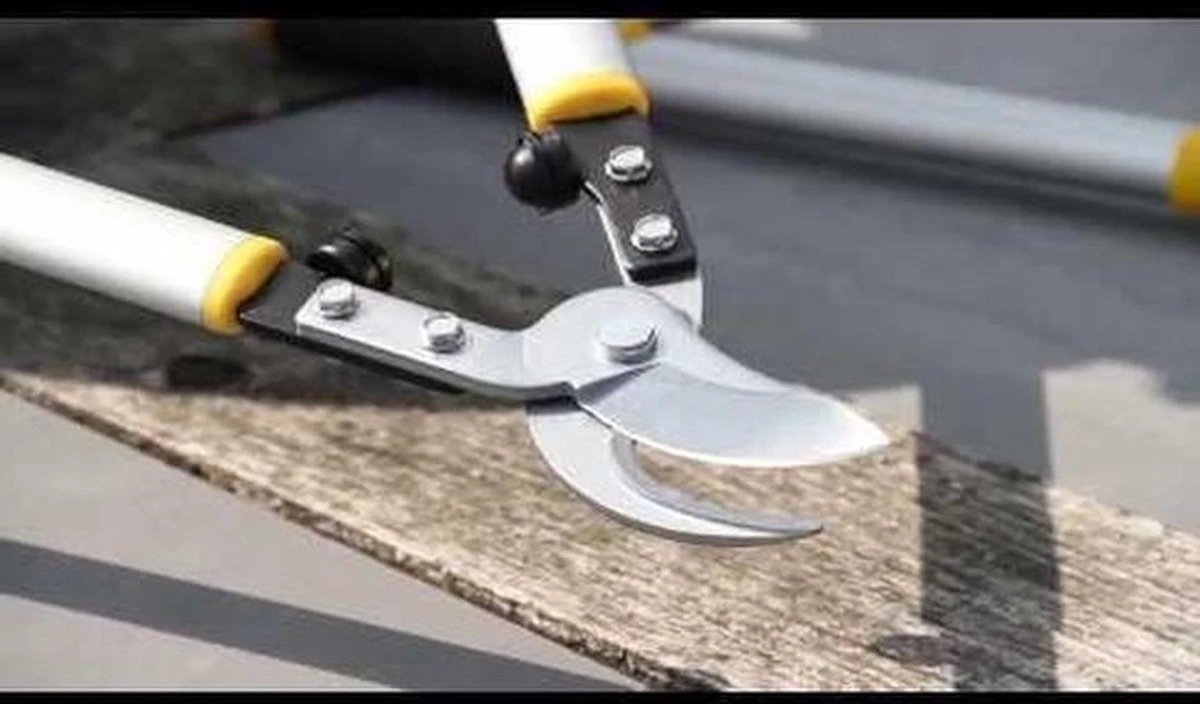 Hendrik Jan - Takkenschaar - Aluminium - Aambeeld - 62 Cm 5 Hendrik Jan - Takkenschaar - Aluminium - Aambeeld - 62 Cm - Afbeelding 5