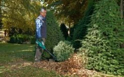 Bosch ALB 36 LI - Bladblazer - Met 36 V Accu En Lader 15 Bosch ALB 36 LI - Bladblazer - Met 36 V Accu En Lader -Tuingereedschaps Winkel 1200x747