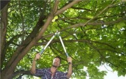 Gardena EasyCut Takkenschaar 68B + Classic Snoeischaar 8754 Display 1stuk 12003-30 18 Gardena EasyCut Takkenschaar 68B + Classic Snoeischaar 8754 Display 1stuk 12003-30 -Tuingereedschaps Winkel 1200x749 2