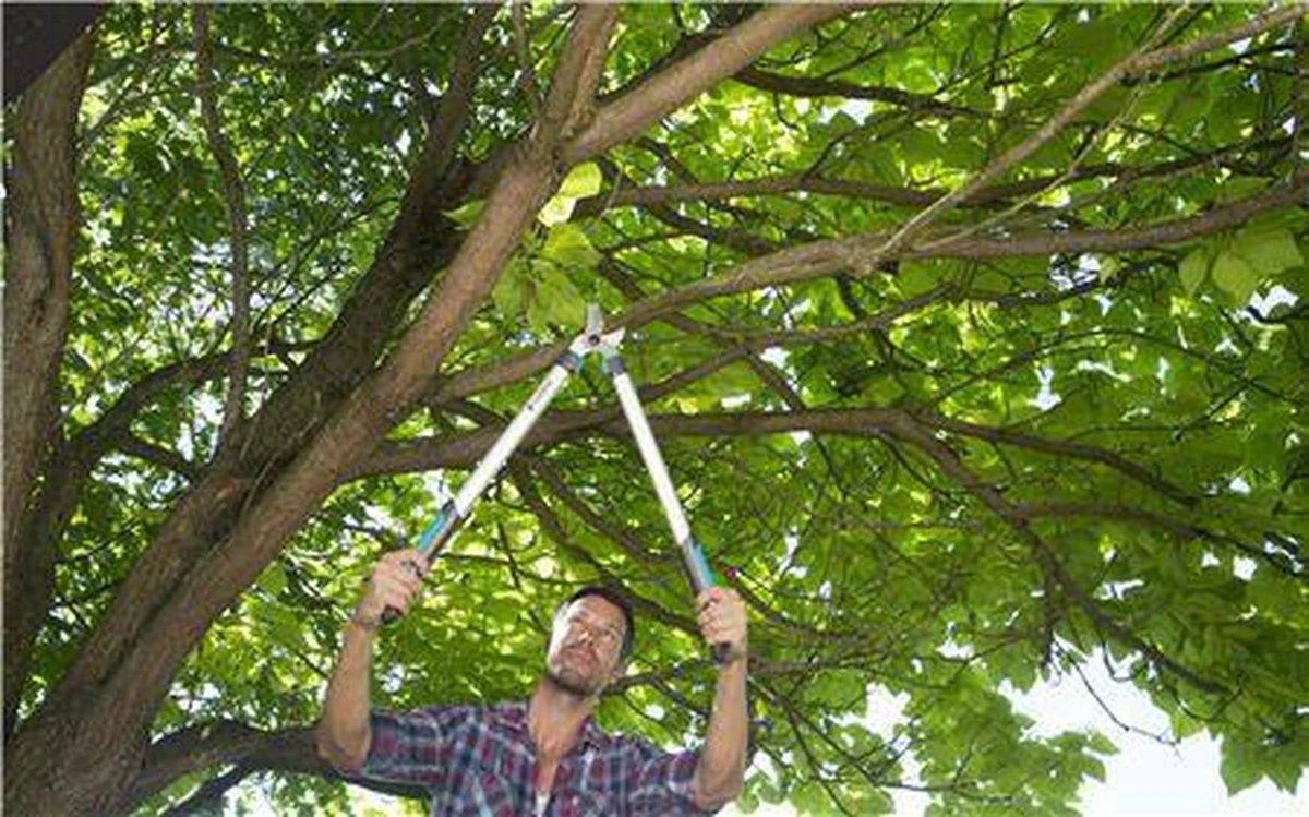 Gardena EasyCut Takkenschaar 68B + Classic Snoeischaar 8754 Display 1stuk 12003-30 8 Gardena EasyCut Takkenschaar 68B + Classic Snoeischaar 8754 Display 1stuk 12003-30 - Afbeelding 8