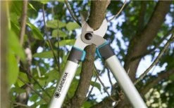 Gardena EasyCut Takkenschaar 68B + Classic Snoeischaar 8754 Display 1stuk 12003-30 15 Gardena EasyCut Takkenschaar 68B + Classic Snoeischaar 8754 Display 1stuk 12003-30 -Tuingereedschaps Winkel 1200x749