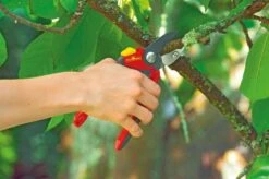 WOLF-Garten Snoeischaar "Premium Plus" RS 4000 - Aambeeld - Max. Knipdiameter 25 Mm - Links- En Rechtshandige - Softinleg Handgreep - Snijhoek 30° - Voor Grote Handen - Vervangbare Messen En Aambeeld 12 WOLF-Garten Snoeischaar "Premium Plus" RS 4000 - Aambeeld - Max. Knipdiameter 25 Mm - Links- En Rechtshandige - Softinleg Handgreep - Snijhoek 30° - Voor Grote Handen - Vervangbare Messen En Aambeeld -Tuingereedschaps Winkel 1200x798 10