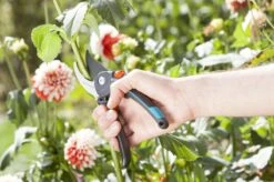 GARDENA Comfort B/M Bypass Snoeischaar - Ø 24mm - Met Sapgeul 16 GARDENA Comfort B/M Bypass Snoeischaar - Ø 24mm - Met Sapgeul -Tuingereedschaps Winkel 1200x799 104