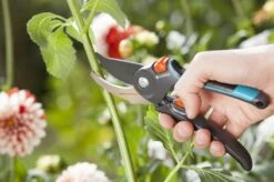 GARDENA Comfort B/M Bypass Snoeischaar - Ø 24mm - Met Sapgeul 17 GARDENA Comfort B/M Bypass Snoeischaar - Ø 24mm - Met Sapgeul -Tuingereedschaps Winkel 1200x799 105