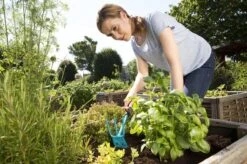 GARDENA Combisystem Tuinhak - Werkbreedte 6,5cm - 25 Jaar Garantie 20 GARDENA Combisystem Tuinhak - Werkbreedte 6,5cm - 25 Jaar Garantie -Tuingereedschaps Winkel 1200x799 182