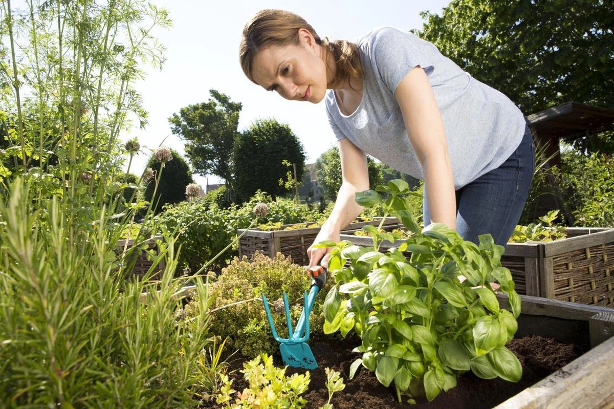 GARDENA Combisystem Tuinhak - Werkbreedte 6,5cm - 25 Jaar Garantie 7 GARDENA Combisystem Tuinhak - Werkbreedte 6,5cm - 25 Jaar Garantie - Afbeelding 7