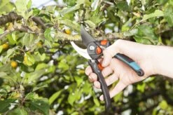 GARDENA - Comfort B/S-XL Bypass - Snoeischaar - Ø 24 Mm - 25 Jaar Garantie 22 GARDENA - Comfort B/S-XL Bypass - Snoeischaar - Ø 24 Mm - 25 Jaar Garantie -Tuingereedschaps Winkel 1200x799 77