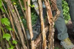 GARDENA - SlimCut Takkenschaar -28mm- Met Hefboommechanisme -Tuingereedschaps Winkel 1200x799 83