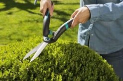 GARDENA PrecisionCut Buxusschaar - Meslengte 18 Cm - Vormsnoeien 22 GARDENA PrecisionCut Buxusschaar - Meslengte 18 Cm - Vormsnoeien -Tuingereedschaps Winkel 1200x799 99