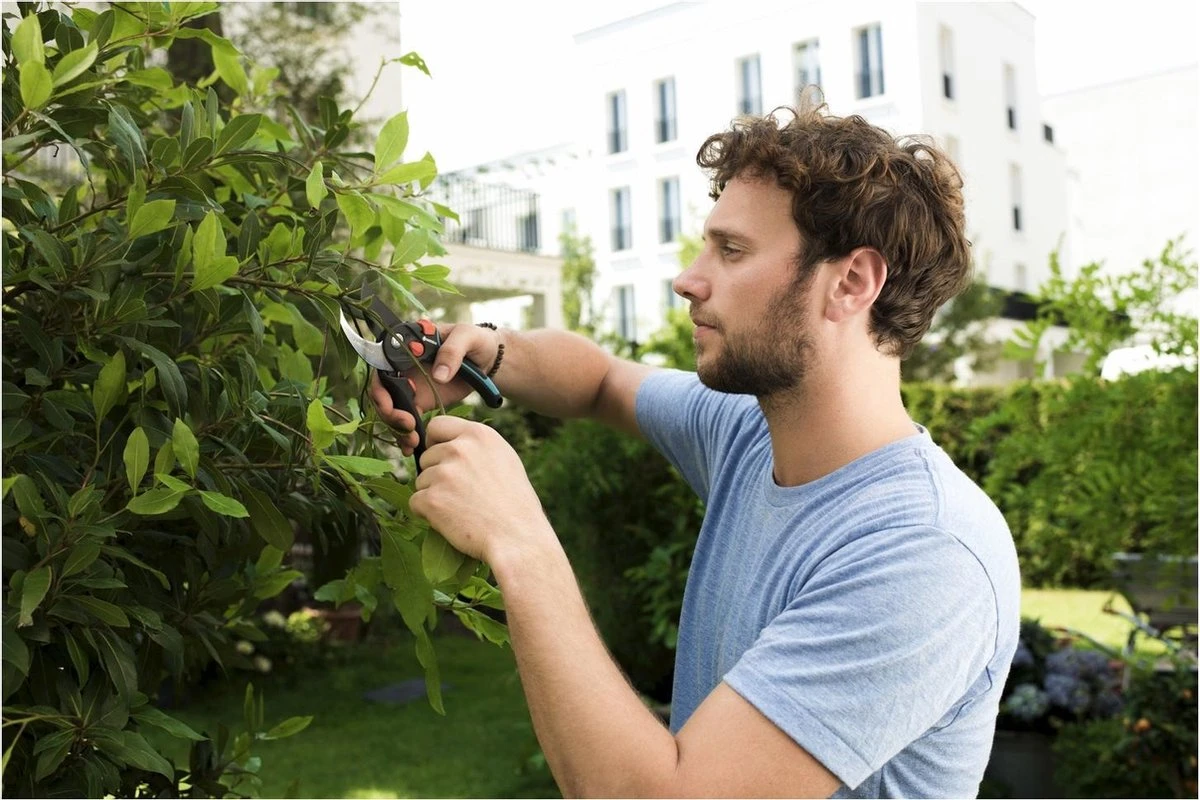 GARDENA - Comfort B/S-XL Bypass - Snoeischaar - Ø 24 Mm - 25 Jaar Garantie 12 GARDENA - Comfort B/S-XL Bypass - Snoeischaar - Ø 24 Mm - 25 Jaar Garantie - Afbeelding 12