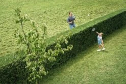 Bosch AHS 50-20 Accu Heggenschaar - Met 1 X 18 V Accu En Lader 14 Bosch AHS 50-20 Accu Heggenschaar - Met 1 X 18 V Accu En Lader -Tuingereedschaps Winkel 1200x800 113