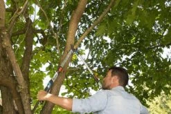 Gardena TeleCut Takkenschaar 650-900 B - Uitschuifbare Armen - Tot Max 90 Cm 19 Gardena TeleCut Takkenschaar 650-900 B - Uitschuifbare Armen - Tot Max 90 Cm -Tuingereedschaps Winkel 1200x800 149