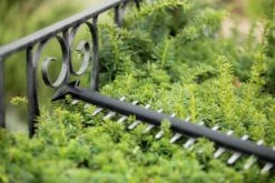 Bosch UniversalHedgeCut 18-55 Heggenschaar - Zonder 18V Accu En Oplader 14 Bosch UniversalHedgeCut 18-55 Heggenschaar - Zonder 18V Accu En Oplader -Tuingereedschaps Winkel 1200x800 154