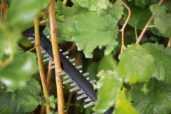 Bosch UniversalHedgeCut 18-55 Heggenschaar - Zonder 18V Accu En Oplader 17 Bosch UniversalHedgeCut 18-55 Heggenschaar - Zonder 18V Accu En Oplader -Tuingereedschaps Winkel 1200x800 157