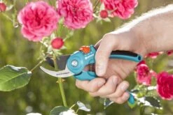 GARDENA - Classic B/S-M Bypass Snoeischaar - Ø 22mm - 25 Jaar Garantie 21 GARDENA - Classic B/S-M Bypass Snoeischaar - Ø 22mm - 25 Jaar Garantie -Tuingereedschaps Winkel 1200x800 164