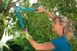 GARDENA Comfort 500 BL Takkenschaar - Max Knipdiameter 35 Mm 15 GARDENA Comfort 500 BL Takkenschaar - Max Knipdiameter 35 Mm -Tuingereedschaps Winkel 1200x800 167