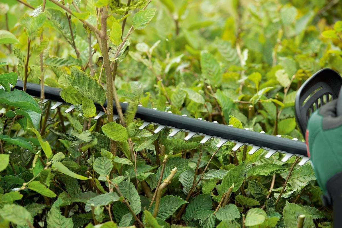 Bosch UniversalHedgeCut 18-50 Heggenschaar - Met 18 V Accu En Lader 6 Bosch UniversalHedgeCut 18-50 Heggenschaar - Met 18 V Accu En Lader - Afbeelding 6