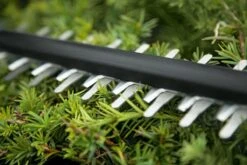 Bosch UniversalHedgeCut 18-50 Heggenschaar - Met 18 V Accu En Lader 18 Bosch UniversalHedgeCut 18-50 Heggenschaar - Met 18 V Accu En Lader -Tuingereedschaps Winkel 1200x800 176