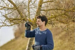 GARDENA - ExpertCut - Snoeischaar - 22 Diameter Tak -Tuingereedschaps Winkel 1200x800 181