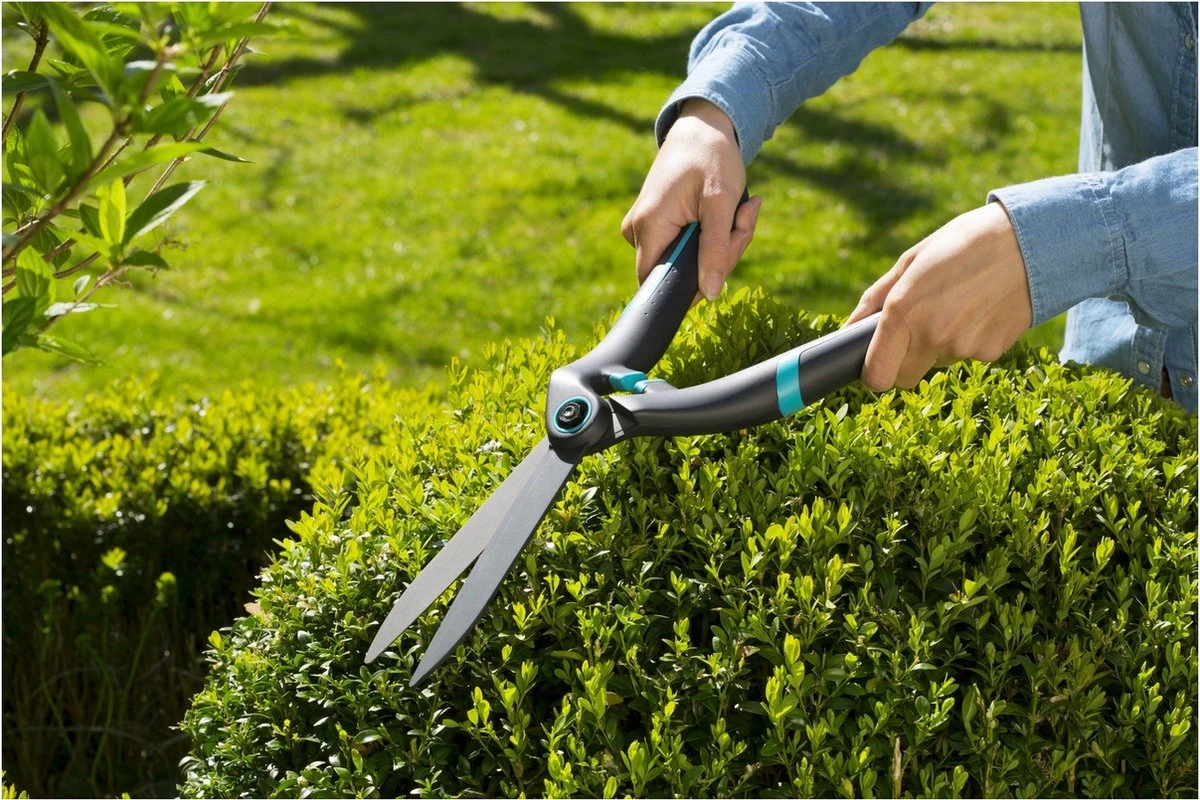 GARDENA PrecisionCut Buxusschaar - Meslengte 18 Cm - Vormsnoeien 4 GARDENA PrecisionCut Buxusschaar - Meslengte 18 Cm - Vormsnoeien - Afbeelding 4