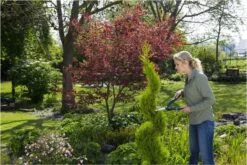 GARDENA PrecisionCut Buxusschaar - Meslengte 18 Cm - Vormsnoeien 17 GARDENA PrecisionCut Buxusschaar - Meslengte 18 Cm - Vormsnoeien -Tuingereedschaps Winkel 1200x800 183