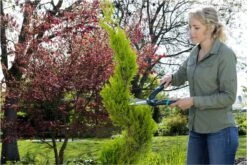 GARDENA PrecisionCut Buxusschaar - Meslengte 18 Cm - Vormsnoeien 18 GARDENA PrecisionCut Buxusschaar - Meslengte 18 Cm - Vormsnoeien -Tuingereedschaps Winkel 1200x800 184