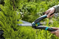 GARDENA PrecisionCut Buxusschaar - Meslengte 18 Cm - Vormsnoeien 19 GARDENA PrecisionCut Buxusschaar - Meslengte 18 Cm - Vormsnoeien -Tuingereedschaps Winkel 1200x800 185