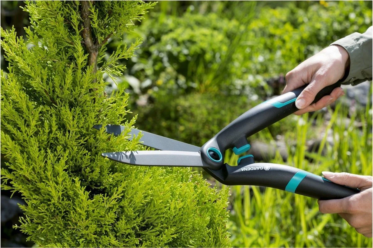 GARDENA PrecisionCut Buxusschaar - Meslengte 18 Cm - Vormsnoeien 7 GARDENA PrecisionCut Buxusschaar - Meslengte 18 Cm - Vormsnoeien - Afbeelding 7