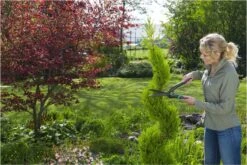 GARDENA PrecisionCut Buxusschaar - Meslengte 18 Cm - Vormsnoeien 21 GARDENA PrecisionCut Buxusschaar - Meslengte 18 Cm - Vormsnoeien -Tuingereedschaps Winkel 1200x800 187