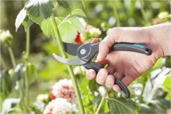 GARDENA Comfort B/M Bypass Snoeischaar - Ø 24mm - Met Sapgeul 11 GARDENA Comfort B/M Bypass Snoeischaar - Ø 24mm - Met Sapgeul -Tuingereedschaps Winkel 1200x800 198